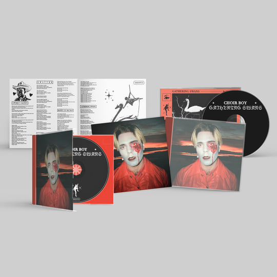 Gathering Swans | Choir Boy
