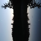 Jean-Hugues thumbnail