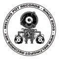 Melting Pot Records image