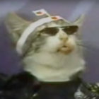 pariahdog thumbnail