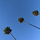 goddollars thumbnail