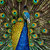 Alchemystic Studio thumbnail