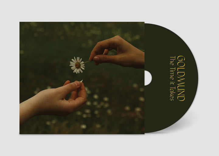 新品未開希少TIME IT TAKES GOLDMUNDゴールドムンド　レコード The Time It Takes | Goldmund