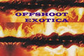 offshoot_exotica image