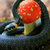 snakes_dooming_on_shrooms thumbnail