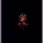 Bouriana thumbnail