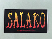 Salako / Musicality 12" Vinyl Album with gatefold sleeve photo 