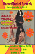 The Brian Wilson SHock TReatment image