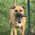 Splinters From An Ever-Changing Face | End