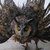 knight_owl thumbnail