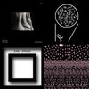 Speech Poems / Fruity Music | Anton Bruhin | Black Truffle