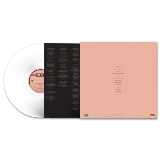 The Far Field | Future Islands