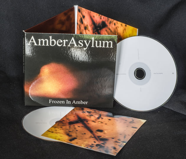 Frozen In Amber | Amber Asylum