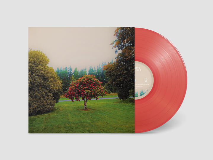 Foothills | The Bats