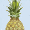pineapple tours image