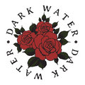 Dark Water image