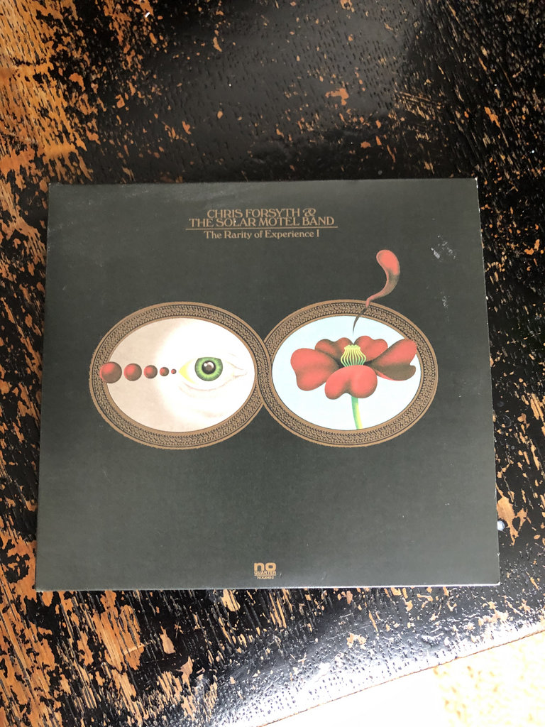 Chris Forsyth’s Electric Guitar Sorcery Bandcamp Daily