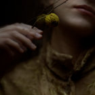 Innesti thumbnail