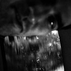 AV thumbnail