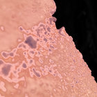 nanoodee123 thumbnail
