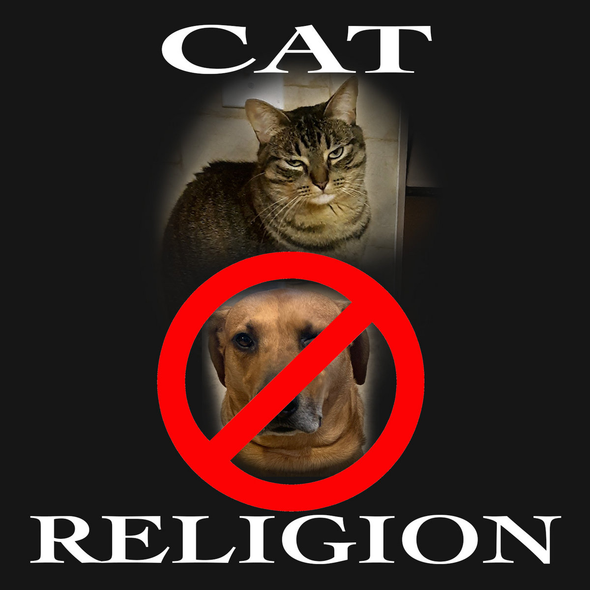 Chew What You Want Cat Religion