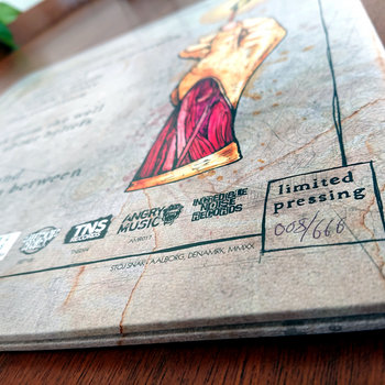 Life, Death and Everything in Between