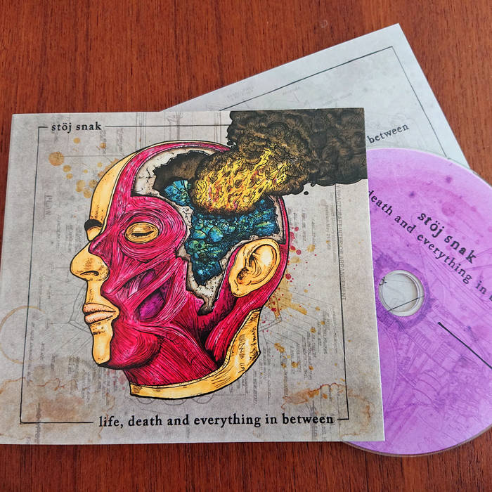 Life, Death and Everything in Between