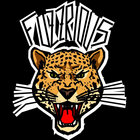 Fuzzrious Fan thumbnail