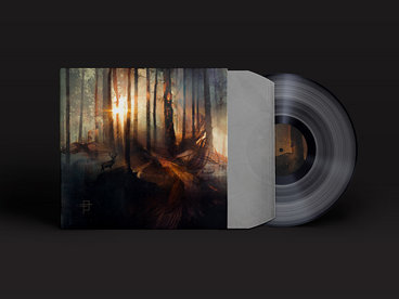 Limited Edition 10" Vinyl (Pre-order) main photo