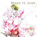 Moon In June image