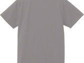 Logo T-Shirts (Light Grey x Smoke Black) F photo 