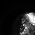 joddi thumbnail