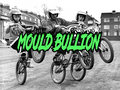 Mould Bullion image