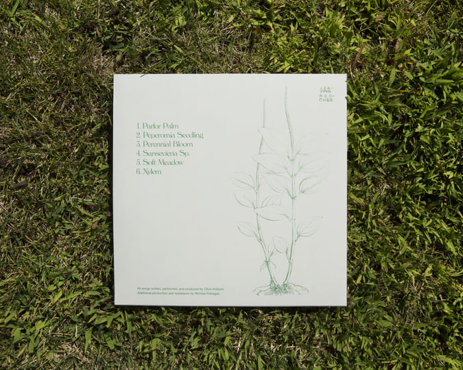 洋楽 Phoenix/United LP indie rock house Phoenix - United - Amazon.com Music