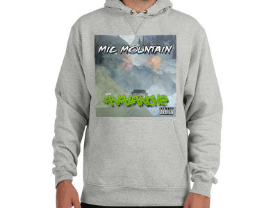 champion light steel hoodie