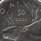 nikotruc55 thumbnail