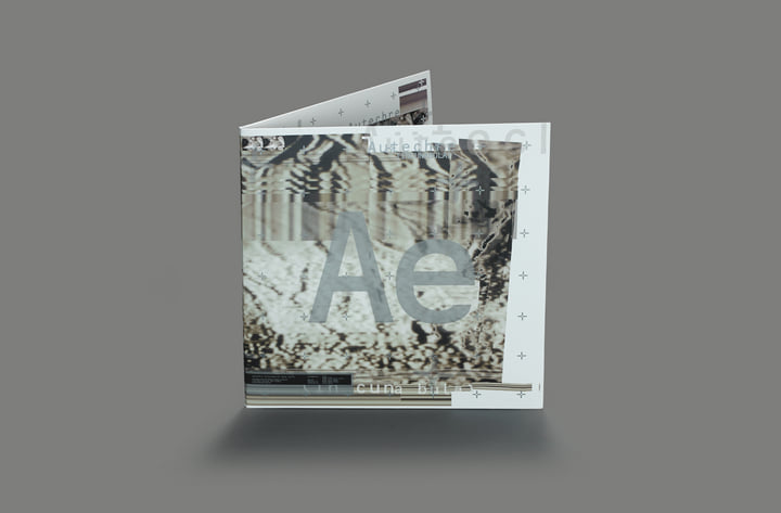 Incunabula | Autechre