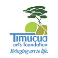 Timucua Arts Foundation image