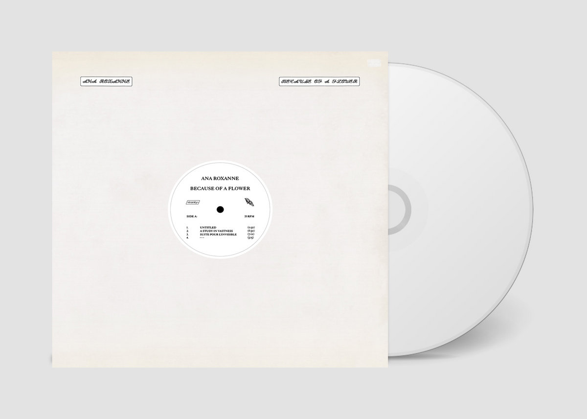 Because of a Flower | Ana Roxanne