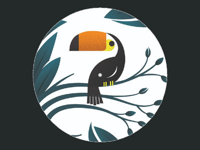 Aviary Bridge Records 'Toucan Logo' Slipmats (Single) main photo