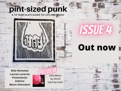 pint-sized punk zine issue 4 main photo