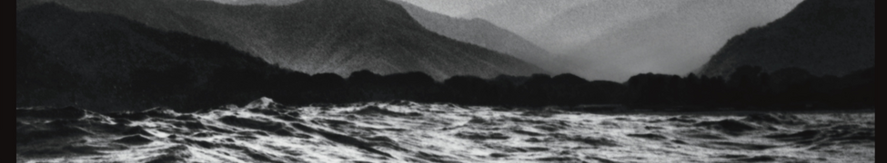 Cilantro Boombox — Photo