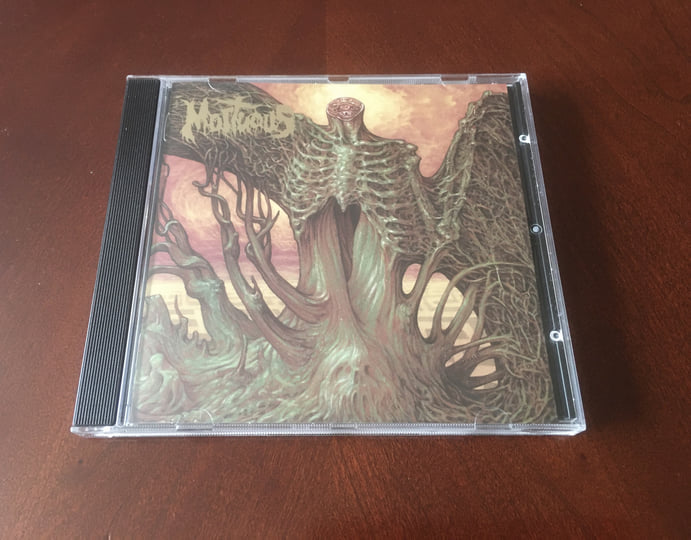 Through Wilderness | Mortuous