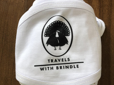 Travels With Brindle Mask main photo