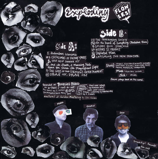 Exploding Flowers | Exploding Flowers