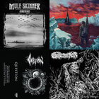 Earthborn / Lowering Sunset / Rosegardens (Bonus Track Edition