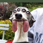 screenname420666311 thumbnail