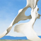 lkehoe2 thumbnail