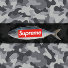 Roman thumbnail