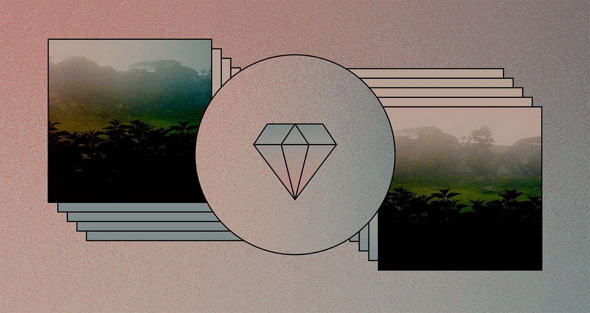 希少 And Also The Trees CD まとめ and also the trees | And Also The Trees